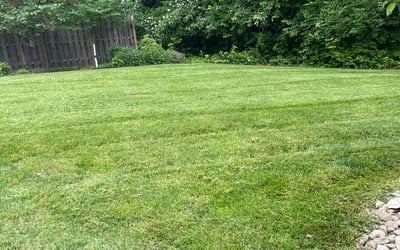 Photo of Curtis P.'s yard after getting lawn care in London, OH