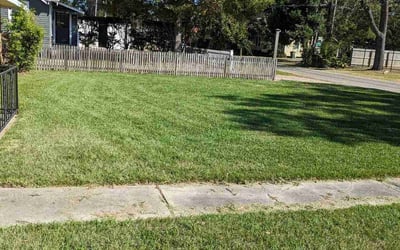 Photo of Aundra L.'s yard after getting lawn care in Hattiesburg, MS