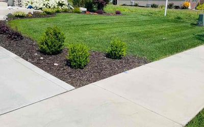 Photo of Courtney B.'s yard after getting lawn care in Highland, IN