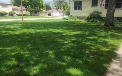 Photo of EDWARD B.'s yard after getting lawn care in Addison, IL