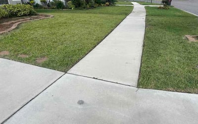 Photo of Theresa G.'s yard after getting lawn care in Wyoming, MI
