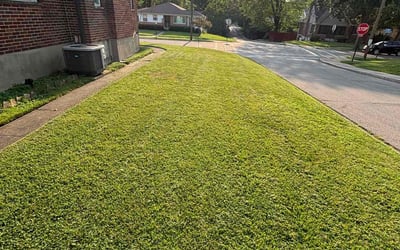 Photo of Tehilah N.'s yard after getting lawn care in Forest Park, OH