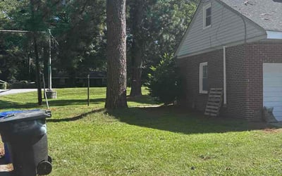 Photo of Bob C.'s yard after getting lawn care in Deptford, NJ