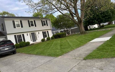 Photo of Elizabeth M.'s yard after getting lawn care in Saddle Brook, NJ