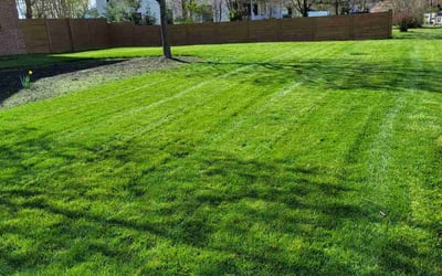 Photo of Chandler M.'s yard after getting lawn care in Fort Hunt, VA