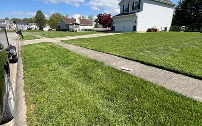 Photo of Clara M.'s yard after getting lawn care in Amelia, OH
