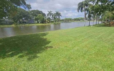 Photo of Elizabeth N.'s yard after getting lawn care in Boynton Beach, FL