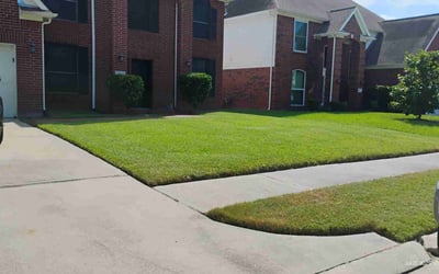 Photo of Malcom T.'s yard after getting lawn care in Bridgeville, PA