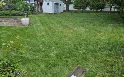 Photo of Peter C.'s yard after getting lawn care in Holmdel, NJ