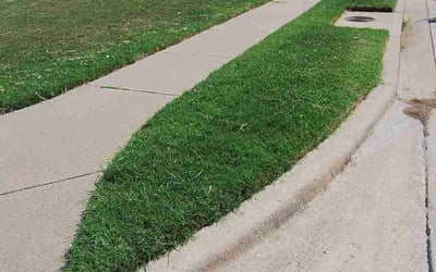 Photo of Joy M.'s yard after getting lawn care in Corinth, TX