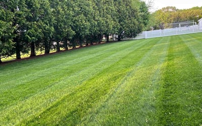Photo of Rachel R.'s yard after getting lawn care in Attleboro, MA