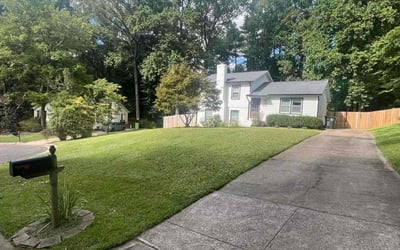 Photo of Tiffany Y.'s yard after getting lawn care in Princeton, NC