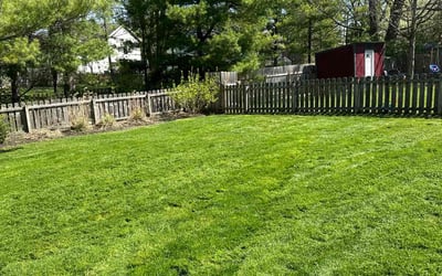 Photo of Elijah M.'s yard after getting lawn care in Logan, OH