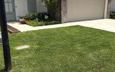 Photo of Dijanna B.'s yard after getting lawn care in West Hartford, CT