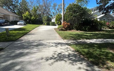 Photo of Jerry S.'s yard after getting lawn care in Citrus Park, FL