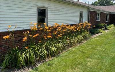Photo of Andre O.'s yard after getting lawn care in Austin, TX