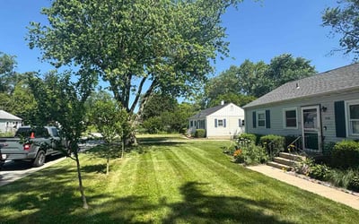 Photo of Wil D.'s yard after getting lawn care in League City, TX