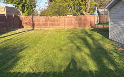 Photo of Connie V.'s yard after getting lawn care in Honolulu, HI