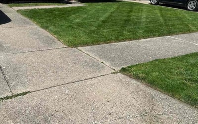 Photo of Tiffany C.'s yard after getting lawn care in Taylor, MI