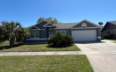 Photo of Clifford A.'s yard after getting lawn care in Brandon, FL