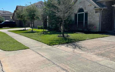Photo of Andrea J.'s yard after getting lawn care in Weslaco, TX