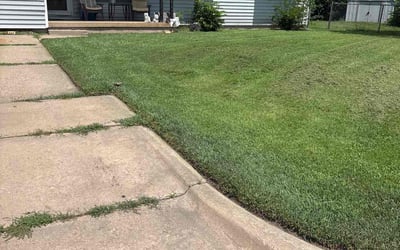 Photo of Joshua J.'s yard after getting tree care in Barnesville, GA