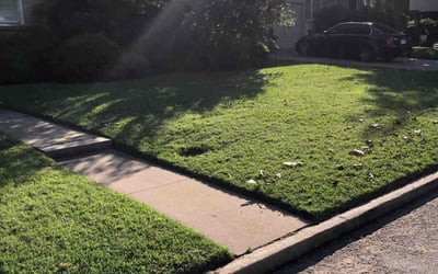 Photo of Haze W.'s yard after getting lawn care in Yukon, OK