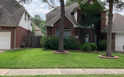 Photo of Norma T.'s yard after getting lawn care in Odessa, TX