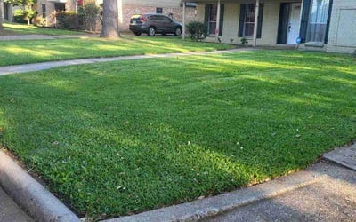 Photo of David K.'s yard after getting lawn care in Humble, TX