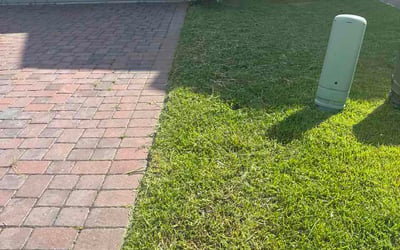 Photo of Joseph T.'s yard after getting lawn care in Richfield, MN