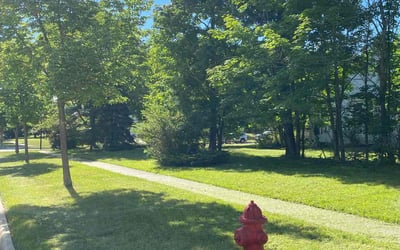 Photo of Laverne M.'s yard after getting lawn care in Medina, OH