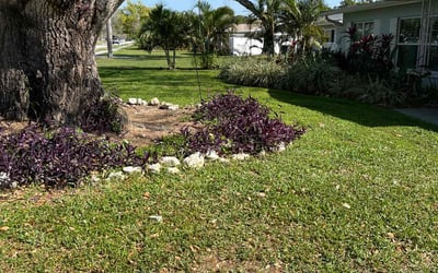 Photo of Dwight B.'s yard after getting lawn care in Dumfries, VA