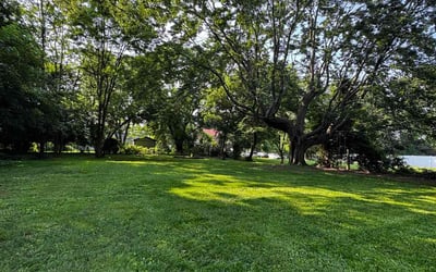 Photo of Autumn A..'s yard after getting lawn care in Merritt Island, FL