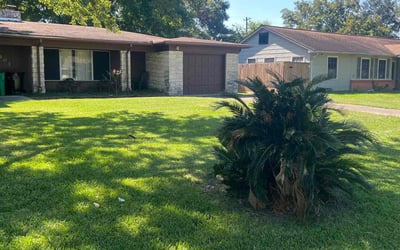 Photo of Kim D.'s yard after getting lawn care in Baytown, TX