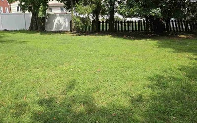 Photo of Michael A.'s yard after getting lawn care in Dumont, NJ