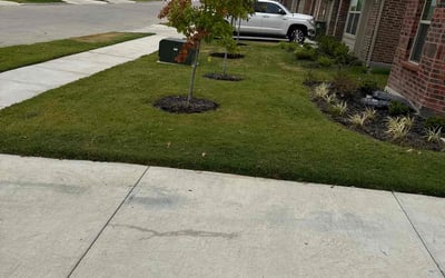 Photo of Amy H.'s yard after getting lawn care in Balch Springs, TX