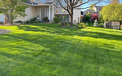 Photo of Coriander W.'s yard after getting lawn care in Richfield, MN