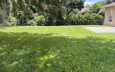 Photo of Kasey J.'s yard after getting lawn care in Sterling Heights, MI