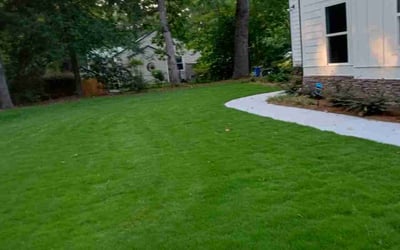 Photo of Rose I.'s yard after getting lawn care in Barnesville, GA