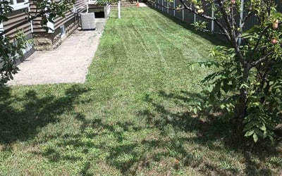 Photo of Luke W.'s yard after getting lawn care in West Springfield, MA