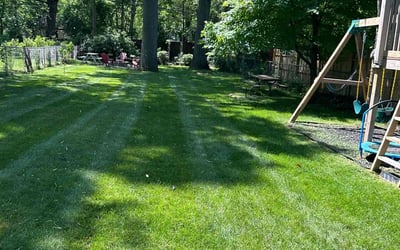 Photo of Donna H.'s yard after getting lawn care in Ferndale, MI