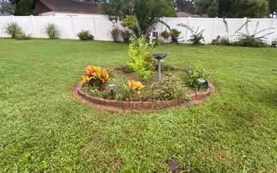 Photo of Christopher J.'s yard after getting lawn care in Hudson, FL