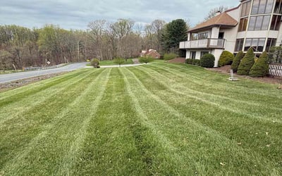 Photo of Deborah D.'s yard after getting lawn care in Bel Air, MD