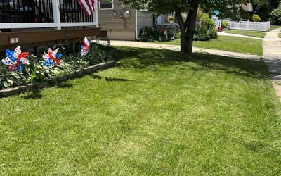 Photo of Pat D.'s yard after getting lawn care in Greentree, NJ