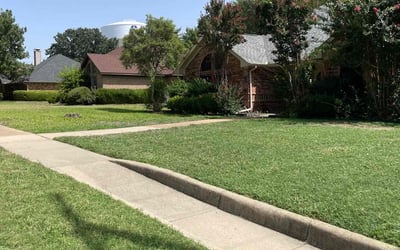 Photo of John P.'s yard after getting lawn care in Farmers Branch, TX