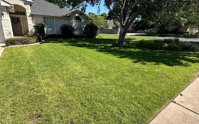 Photo of Nafisa N.'s yard after getting lawn care in Paradise, CA