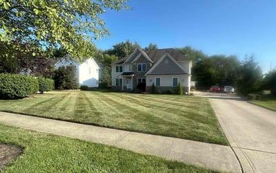 Photo of Hanah T.'s yard after getting lawn care in Barberton, OH