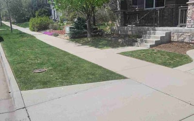 Photo of LuAnn P.'s yard after getting lawn care in Boulder, CO