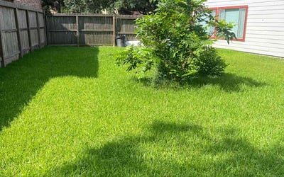 Photo of Paul M.'s yard after getting lawn care in Stafford, TX