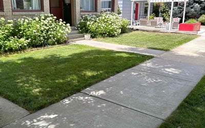 Photo of Laura G.'s yard after getting lawn care in Boise City, ID